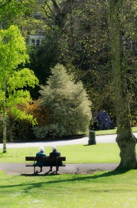 People in the park